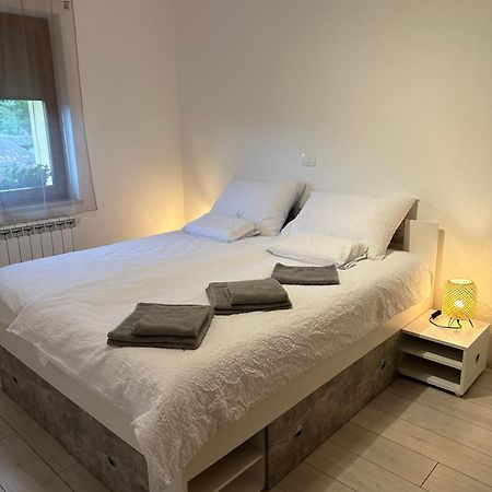 Apartma Anze Samec Dobravlje Exterior foto